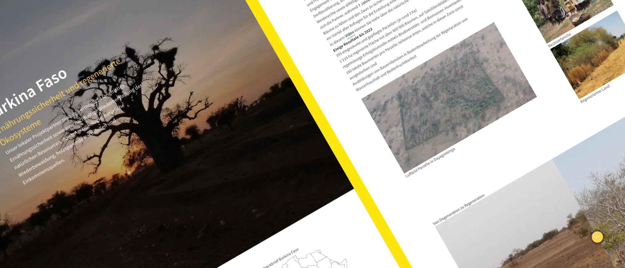 newTree — digitales Fundraising mit Wirkung